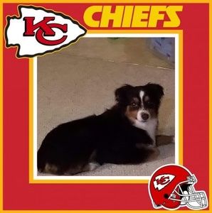 Meet your Posher, Ronald